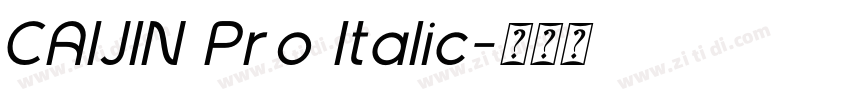 CAIJIN Pro Italic字体转换 CAIJIN Pro Italic字体转换